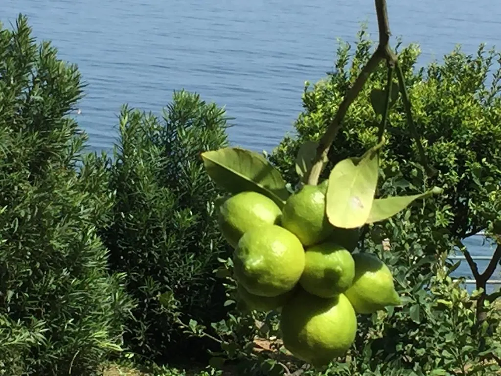 Сasa de vacaciones Villa Buonasera Santa Flavia